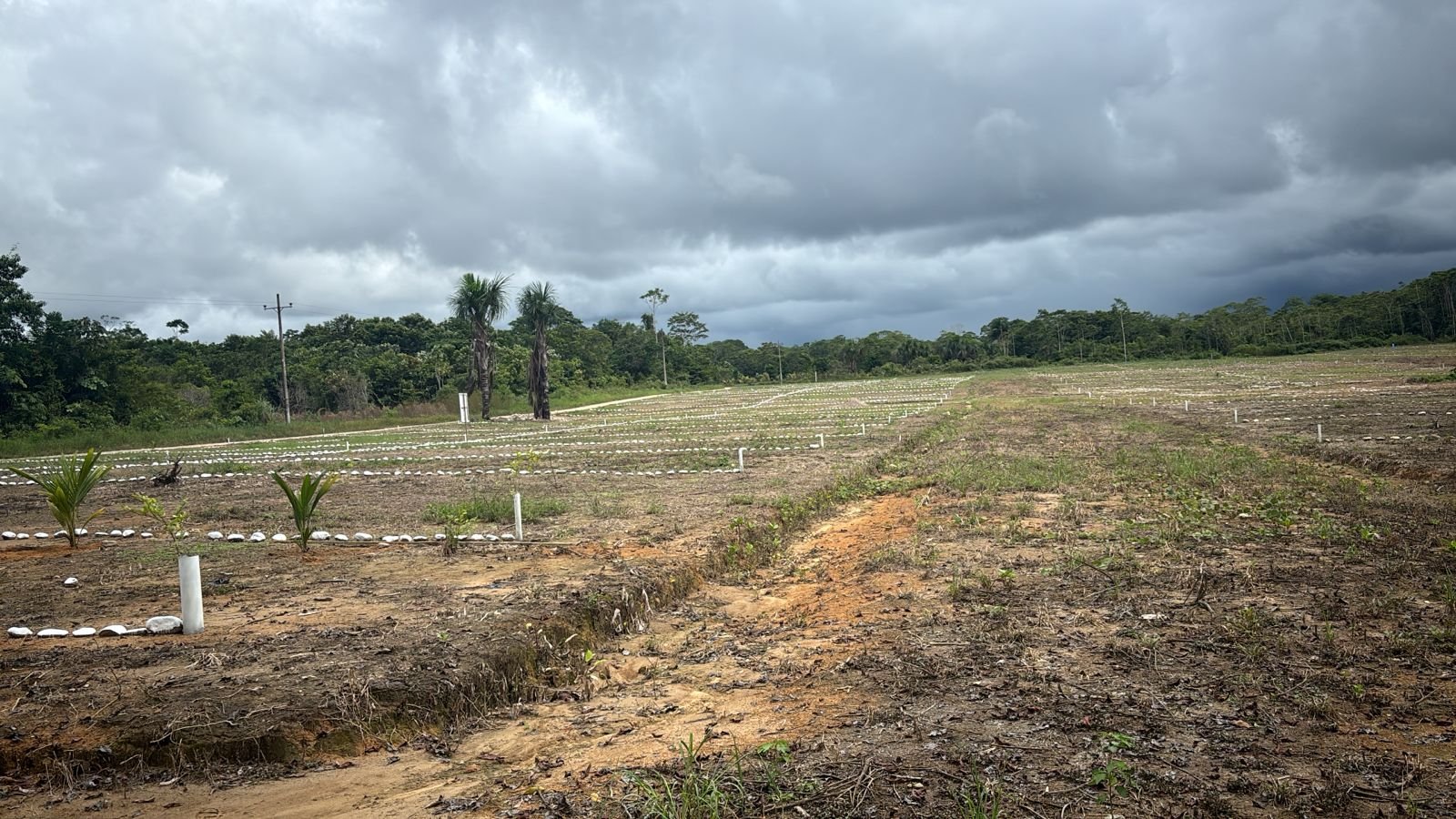 WhatsApp Image 2025-06-15 at 12.46.06 PM